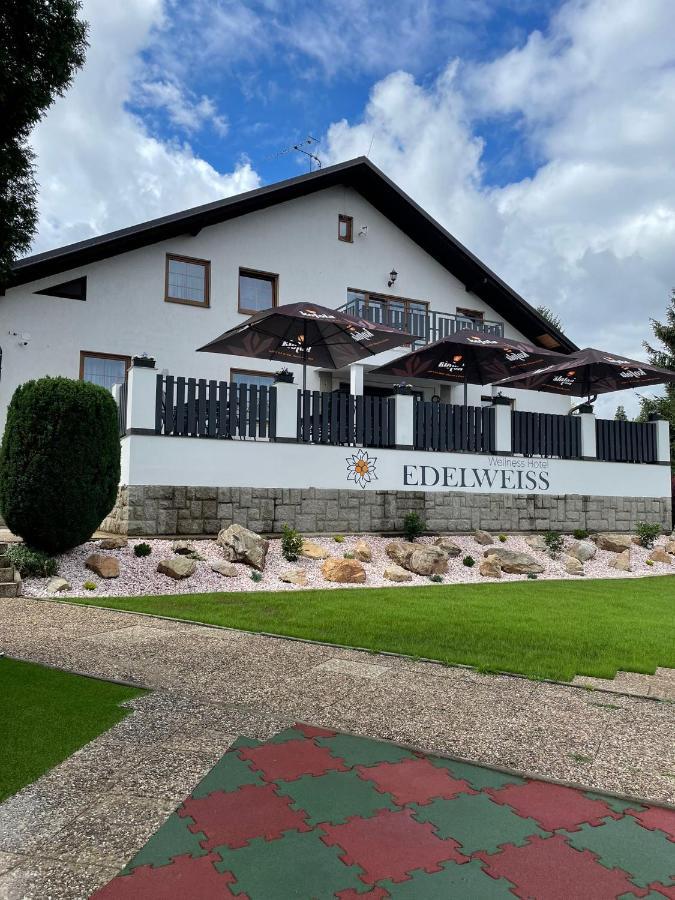 Wellness Hotel Edelweiss Λίμπερεκ Εξωτερικό φωτογραφία